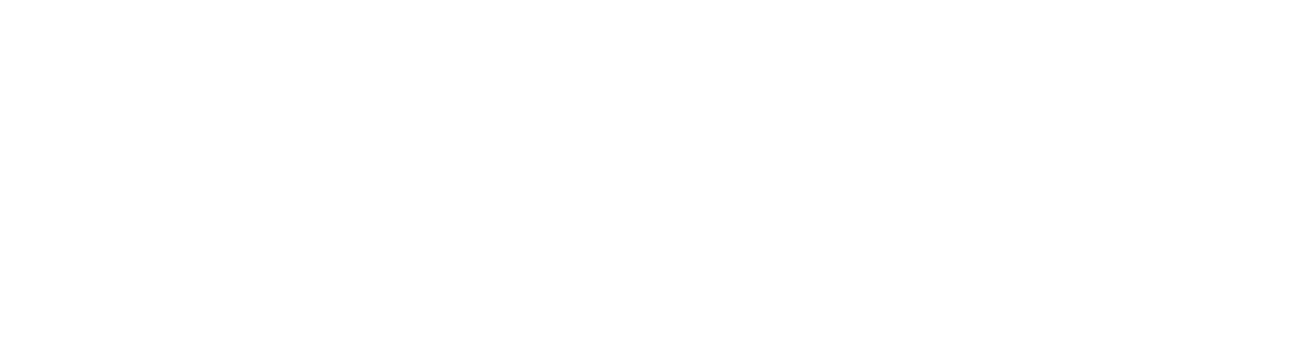 Theim_Logo_Weiss